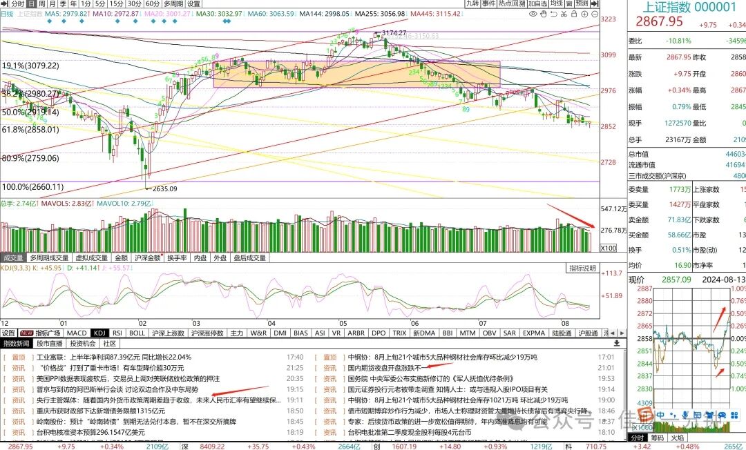 中国华能VS中国华电