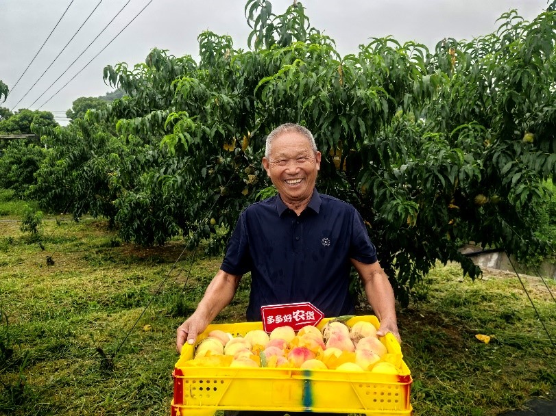 拼多多发布Q2财报，投入百亿扶持新质商家，持续助力商家提质增效